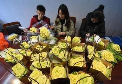 У Китаї вивели новий сорт "капустяної троянди"