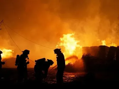 Лісові пожежі охопили Чилі