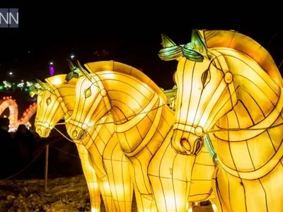 В Києві відкрили фестиваль китайських ліхтарів