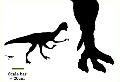Ученые нашли окаменелости от наименьшего из известных динозавров