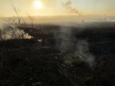 В Одессе горело более 4 гектара камыша