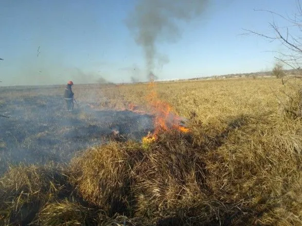 Огонь охватил почти 5 гектаров камыша в Николаевской области