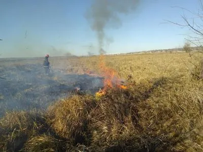 Огонь охватил почти 5 гектаров камыша в Николаевской области