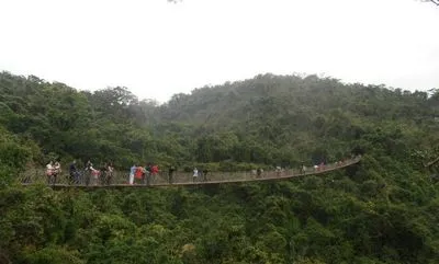 В Китае оборвался канатный мост с туристами