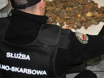 Украинец вез в Польшу в топливном баке янтарь и сигареты