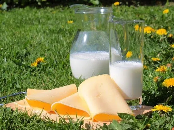 В Україні виявили понад 400 партій фальсифікованої молочної продукції