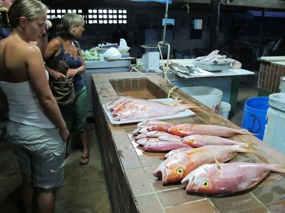 Более 80% импорта рыбной продукции приходится на мороженую рыбу