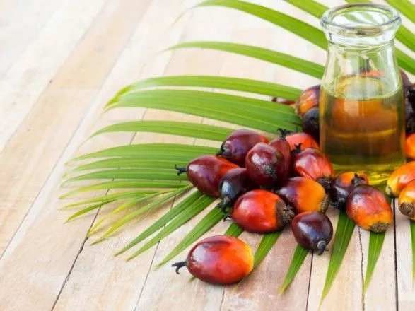 Власти Франции заявили о вреде пальмового масла