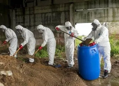 ЕБА одобрила утилизацию пестицидов за рубежом