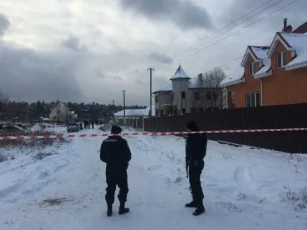 Аваков: криваве побоїще у Княжичах сталося через непрофесіоналізм поліції
