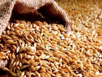 Цього року Україна експортує 49 млн тонн зерна – прогноз