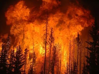 На Корсике пожары уничтожили более тысячи гектаров леса