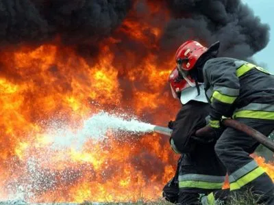 У пожежі на Кіровоградщині загинули 18 свиней