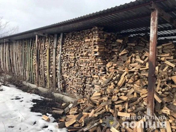 В Донецкой области задержали "черных" лесорубов