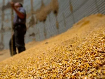 Суд не зміг розглянути справу щодо мільйонної розтрати зерна