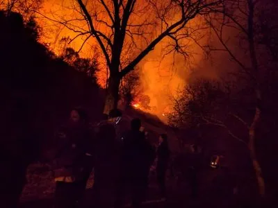 Север Испании страдает от лесных пожаров