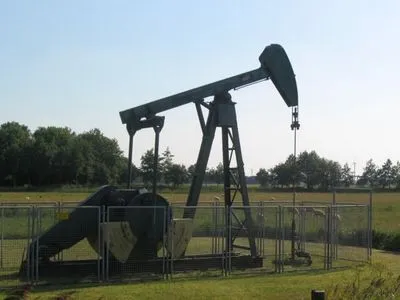 Госгеонедра продаст 30 нефтегазовых участков площадью полмиллиона га