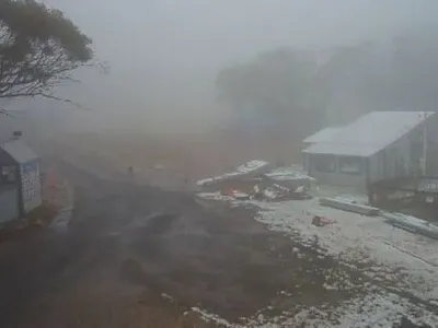 В Австралії випав сніг
