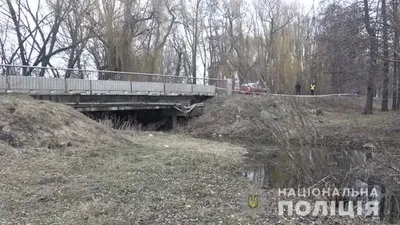 Под мостом в реке нашли тело новорожденного