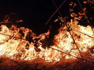 Вчера в Днепропетровской области сгорело более 6 га травы и камыша