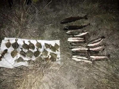 Сети и рыба на 30 тыс. гривен: возле Арабатской стрелки задержали браконьера