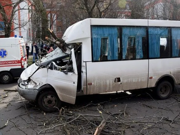 В Николаеве на маршрутку с пассажирами упало дерево