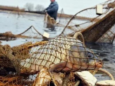 Браконьеры выловили в Азовском море 3,5 тонны рыбы
