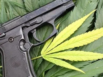 На Донеччині у чоловіка знайшли пістолети, гранати й марихуану