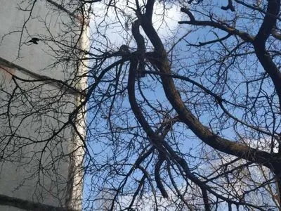 У Харкові 18-річна дівчина зістрибнула з даху багатоповерхівки