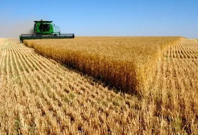 Україна експортувала вже понад 35 млн тонн зернових