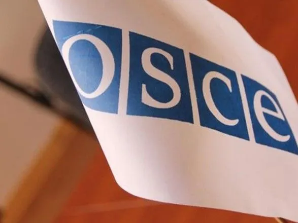 В ОБСЕ рассказали про нападение на сотрудницу в Киеве