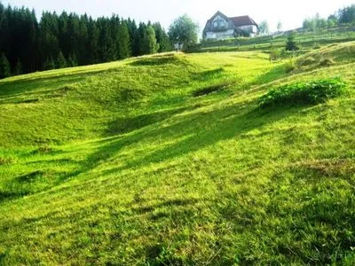 На Дніпропетровщині запобігли незаконному користуванню землею у понад 1,5 млн грн