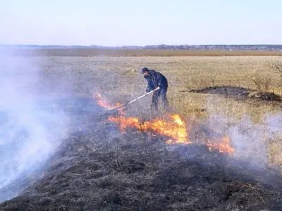 Природные пожары в Черниговской области разгорелись на 26 га
