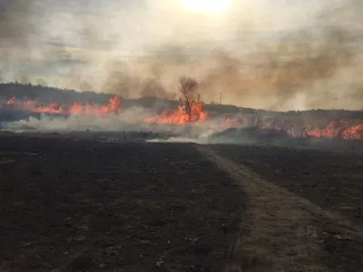 За сутки в Киевской области произошло более ста пожаров травы