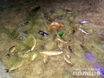 На Буковине задержали браконьера, который ловил краснокнижную рыбу