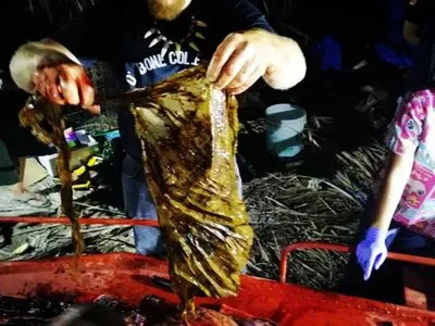 У шлунку померлого кита знайшли 40 кг пластику