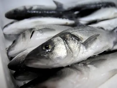 В прошлом году Украина импортировала рыбы и икры почти на 54 млн долларов