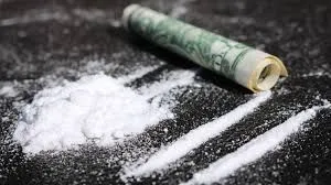В Одесской области изъяли рекордную партию кокаина стоимостью более 50 млн долларов (исправлено)