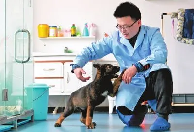 У Китаї тренують першу клоновану собаку-шукача