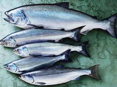 З початку року Україна імпортувала риби та ікри на майже 8,5 мільйона доларів