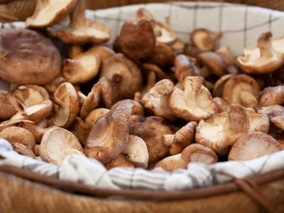 З початку року Україна імпортувала грибів та трюфелів на 53 тис. доларів