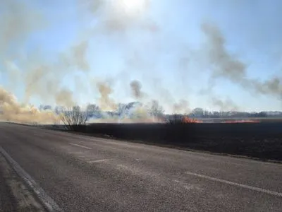 В Ровенской области уже несколько часов тушат возгорание камыша