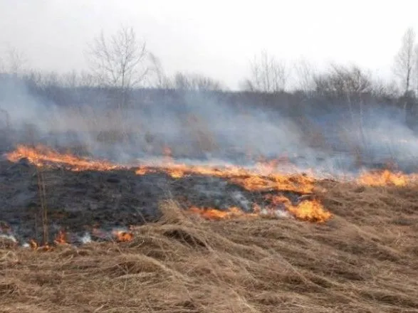 На Буковине из-за сжигания сухой травы чуть не загорелась АЗС