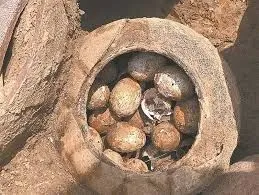 Китайские археологи нашли куриные яйца, которым более 2,5 тысяч лет