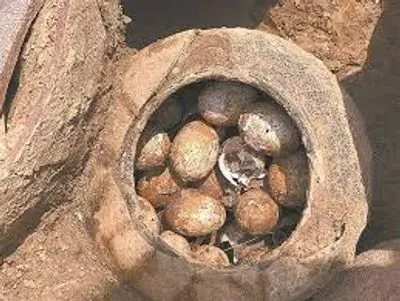 Китайские археологи нашли куриные яйца, которым более 2,5 тысяч лет