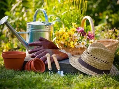 Як прибрати сад та город навесні: корисні поради від експерта
