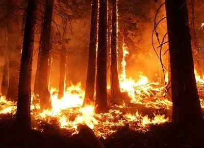В Северном Китае борются с лесными пожарами