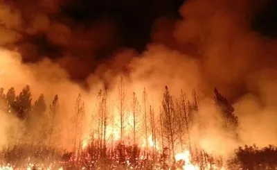 При тушении лесного пожара на юго-западе Китая пропали безвести 30 человек