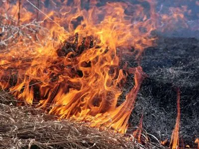 На Житомирщині загинуло літнє подружжя через спалювання сухої трави