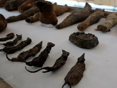 В Египте обнаружили мумии мышей и других животных в древней гробнице